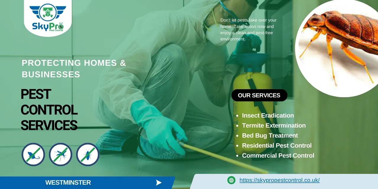 Pest Control in Westminster