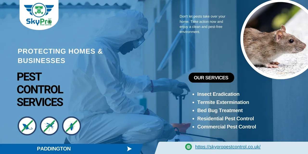 Pest Control in Paddington