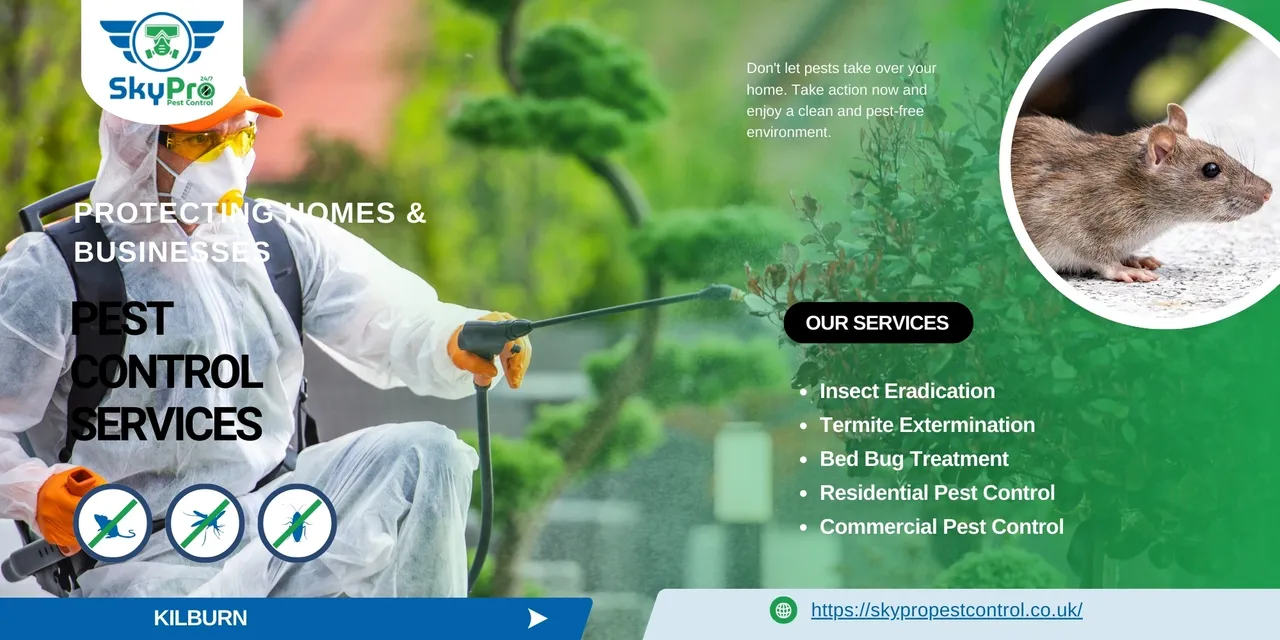 Pest Control in Kilburn