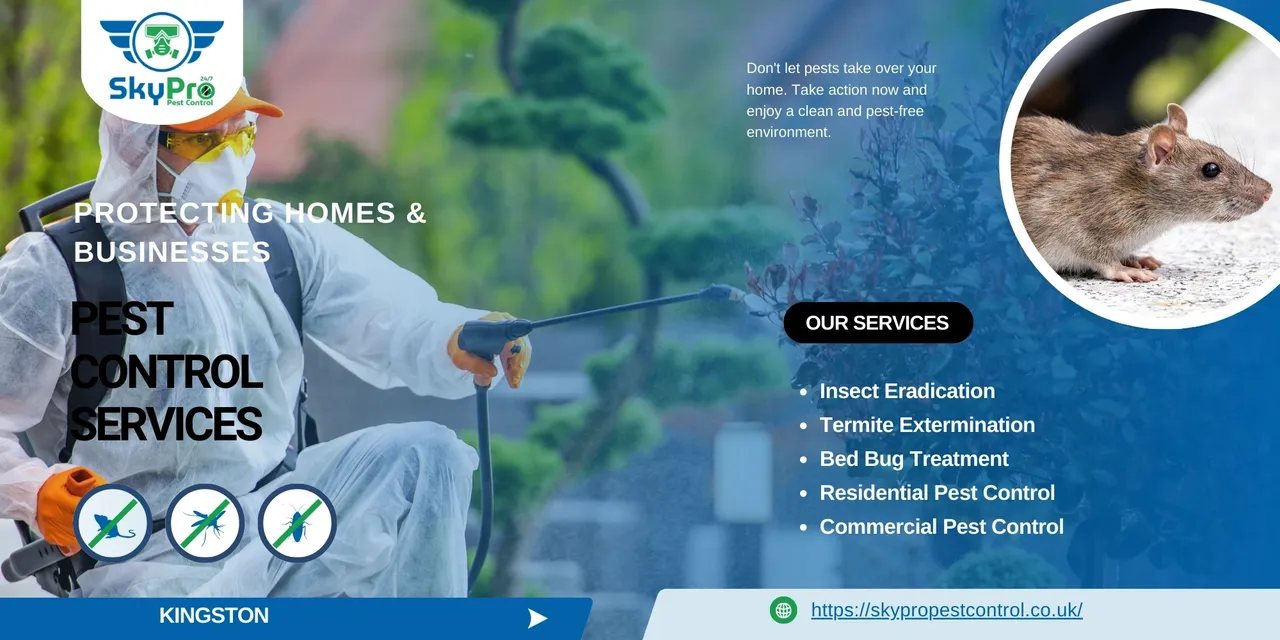 Pest Control in Kingston