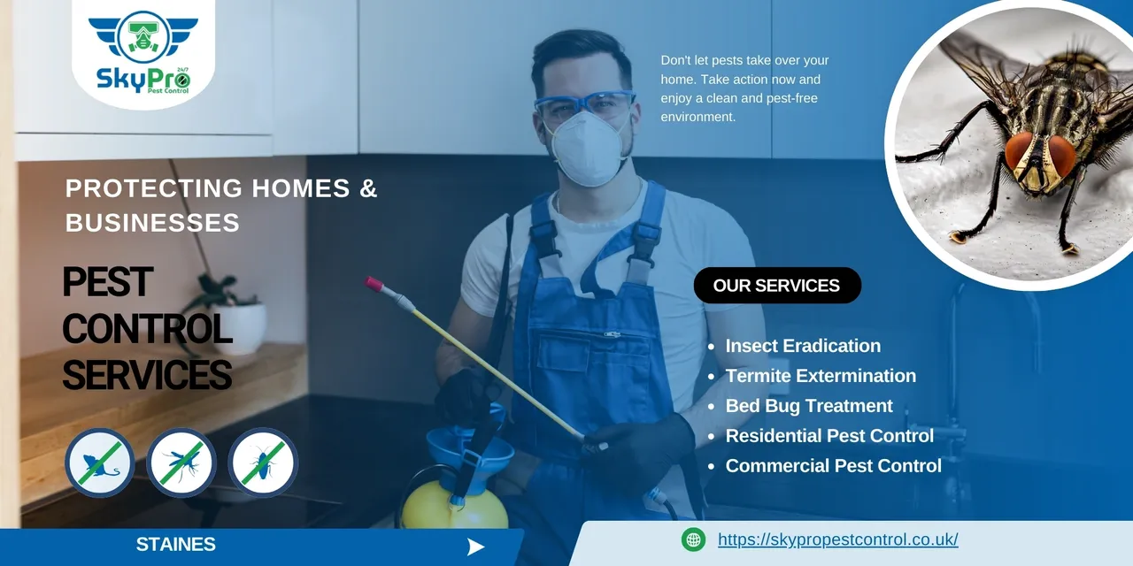 Pest Control in Staines